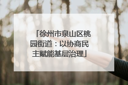 徐州市泉山区桃园街道：以协商民主赋能基层治理