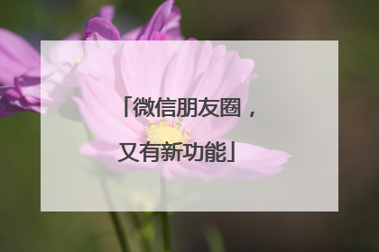 微信朋友圈，又有新功能