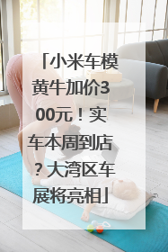 小米车模黄牛加价300元！实车本周到店？大湾区车展将亮相