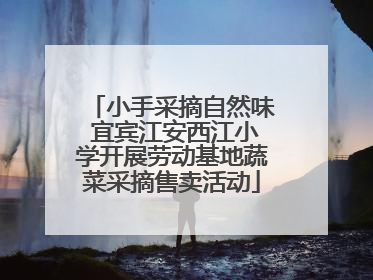 小手采摘自然味 宜宾江安西江小学开展劳动基地蔬菜采摘售卖活动