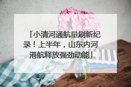 小清河通航量刷新纪录！上半年，山东内河港航释放强劲动能