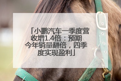 小鹏汽车一季度营收增1.4倍：预期今年销量翻倍，四季度实现盈利