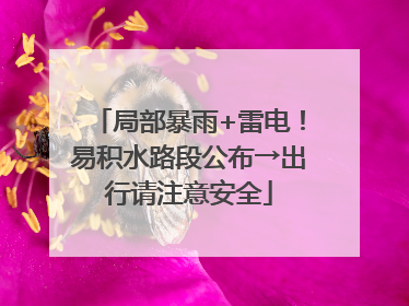 局部暴雨+雷电！易积水路段公布→出行请注意安全