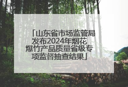 山东省市场监管局发布2024年烟花爆竹产品质量省级专项监督抽查结果