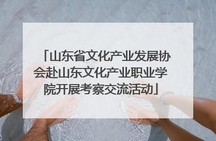 山东省文化产业发展协会赴山东文化产业职业学院开展考察交流活动