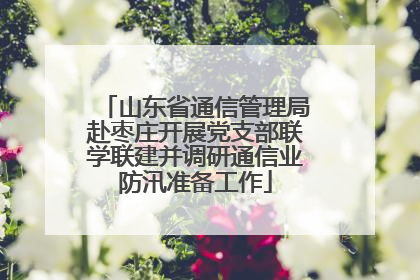 山东省通信管理局赴枣庄开展党支部联学联建并调研通信业防汛准备工作