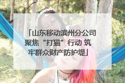 山东移动滨州分公司聚焦“打猫”行动 筑牢群众财产防护堤