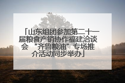 山东组团参加第二十一届粮食产销协作福建洽谈会 “齐鲁粮油”专场推介活动同步举办