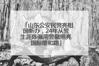 山东公安民警亮相国新办，24年从警生涯陈强用警徽照亮国际维和路
