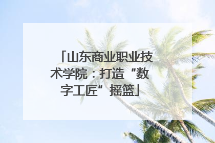 山东商业职业技术学院：打造“数字工匠”摇篮