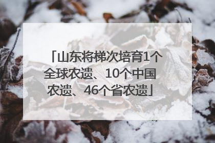 山东将梯次培育1个全球农遗、10个中国农遗、46个省农遗