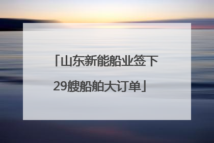 山东新能船业签下29艘船舶大订单