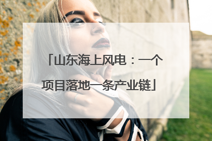 山东海上风电：一个项目落地一条产业链