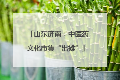 山东济南：中医药文化市集“出摊”