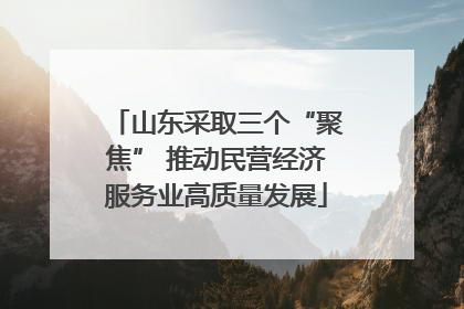 山东采取三个“聚焦” 推动民营经济服务业高质量发展