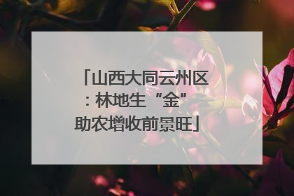 山西大同云州区：林地生“金” 助农增收前景旺