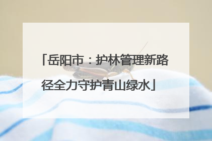 岳阳市：护林管理新路径全力守护青山绿水