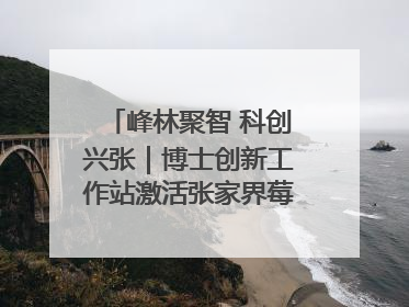 峰林聚智 科创兴张｜博士创新工作站激活张家界莓茶产业新动能