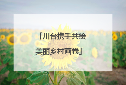 川台携手共绘美丽乡村画卷