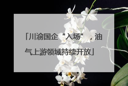 川渝国企“入场”，油气上游领域持续开放
