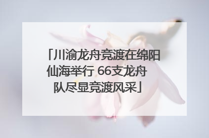 川渝龙舟竞渡在绵阳仙海举行 66支龙舟队尽显竞渡风采
