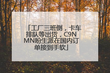 工厂三班倒，卡车排队等出货，C9NMN盼生派在国内订单接到手软