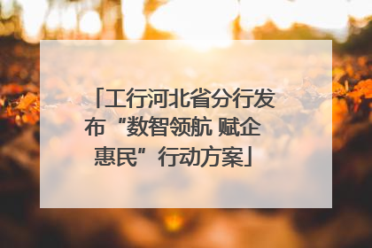 工行河北省分行发布“数智领航 赋企惠民”行动方案