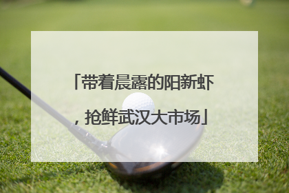 带着晨露的阳新虾，抢鲜武汉大市场
