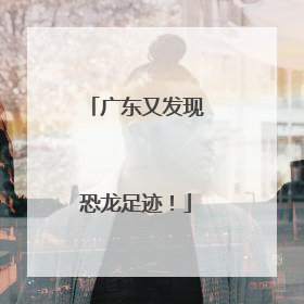 广东又发现恐龙足迹！