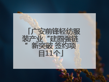 广安前锋轻纺服装产业“建圈强链”新突破 签约项目11个