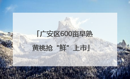 广安区600亩早熟黄桃抢“鲜”上市