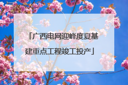 广西电网迎峰度夏基建重点工程竣工投产