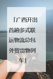 广西开出首趟多式联运物流总包外贸货物列车