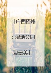 广西梧州：湿地公园夏景美