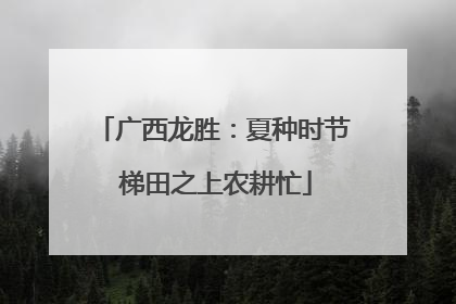 广西龙胜：夏种时节 梯田之上农耕忙