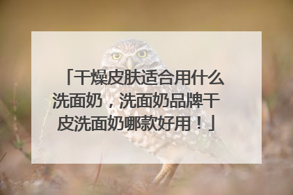干燥皮肤适合用什么洗面奶，洗面奶品牌干皮洗面奶哪款好用！