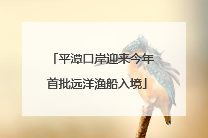 平潭口岸迎来今年首批远洋渔船入境