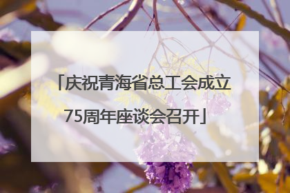 庆祝青海省总工会成立75周年座谈会召开