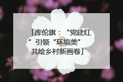 库伦旗：“党建红”引领“环境美” 共绘乡村新画卷