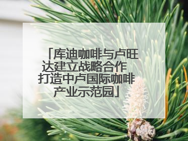 库迪咖啡与卢旺达建立战略合作 打造中卢国际咖啡产业示范园