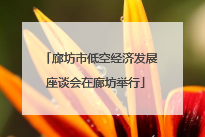 廊坊市低空经济发展座谈会在廊坊举行