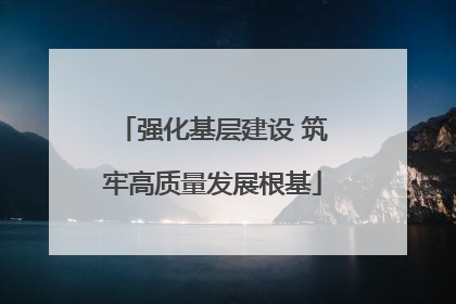 强化基层建设 筑牢高质量发展根基