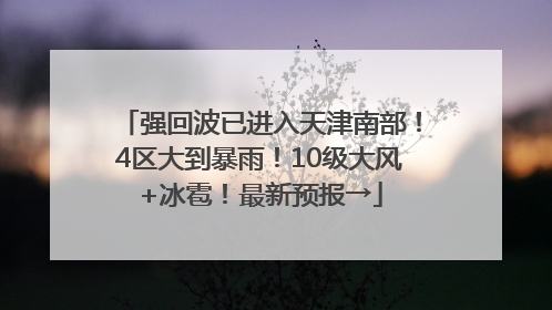 强回波已进入天津南部！4区大到暴雨！10级大风+冰雹！最新预报→