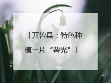 开鲁县：特色种植一片“薯光”