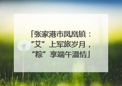 张家港市凤凰镇：“艾”上军旅岁月，“粽”享端午温情