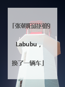 张朝阳退回的Labubu，换了一辆车