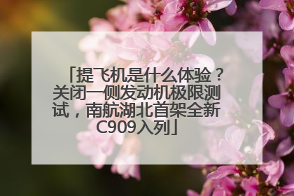 提飞机是什么体验？关闭一侧发动机极限测试，南航湖北首架全新C909入列