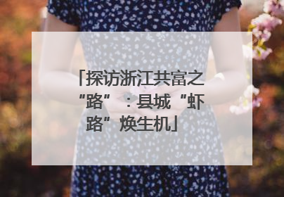 探访浙江共富之“路”：县城“虾路”焕生机