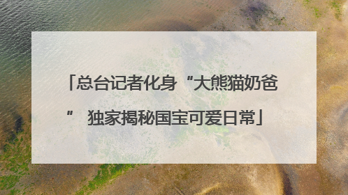 总台记者化身“大熊猫奶爸” 独家揭秘国宝可爱日常