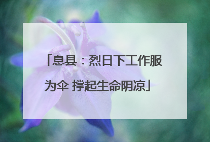 息县：烈日下工作服为伞 撑起生命阴凉